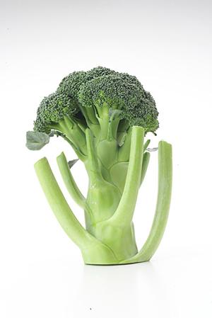 お酒のプロショップshinanoya