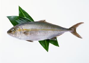 特別な日にぴったり！神戸牛を贈るための選び方とおすすめギフトガイド