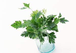 銀座の居酒屋おすすめガイド2025：絶品料理とおしゃれな空間を徹底解説