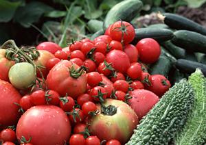 2016年オープンの恵比寿のオアシス