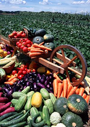 伝説のすた丼屋 綱島店｜ボリューム満点のスタミナ丼とお得な情報を徹底紹介