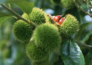 完全自家製で価格も嬉しい仕出し弁当