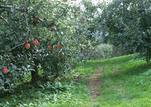 健康的な食生活を送りたい方にオススメです