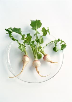 新宿で楽しむ絶品生牡蠣とイタリアンの融合！Oyster Bar ジャックポット 新宿の魅力と特徴