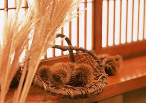 2025年最新版：心斎橋で見つける絶品カフェガイド ? 人気店から穴場まで徹底紹介