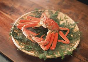 難波の絶品北海道サロマ和牛を味わう【大坂浪漫亭 なんば店】肉卸直送の和の空間で贅沢なひとときを