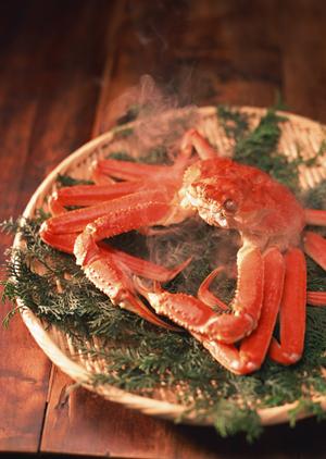 地酒と焼き鳥で勝負！新井薬師前の居酒屋