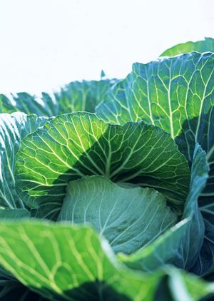 万能調味料の塩こうじで、レシピをひろげましょう。