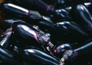 世界のビール博物館 大名古屋ビルヂング店 – 多彩なビールと料理を楽しむ場所