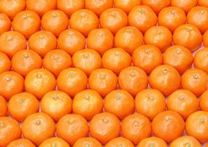 メディアで紹介される東京水タバコカフェ