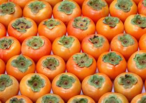 秋葉原のコンカフェで非日常体験を楽しもう！SNS映えスポット完全ガイド