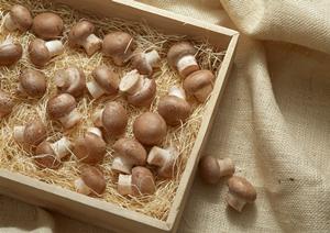 海浜幕張の絶品居酒屋「大衆酒場ムロヒガシ」：炭火串焼きと多彩なメニューでお得に楽しめる人気店